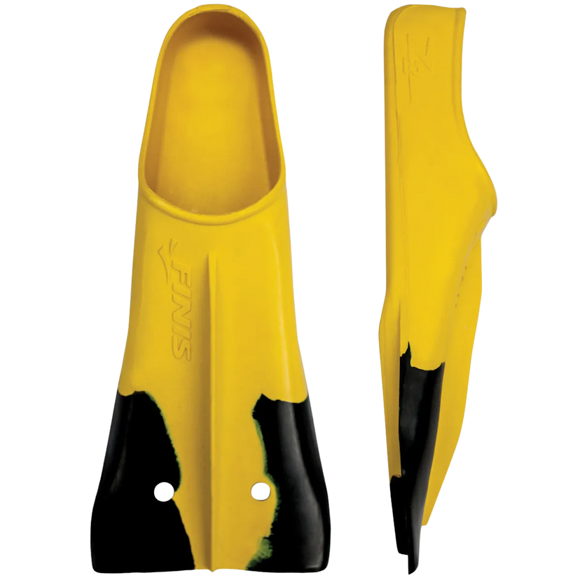 Z2 gold zoomers